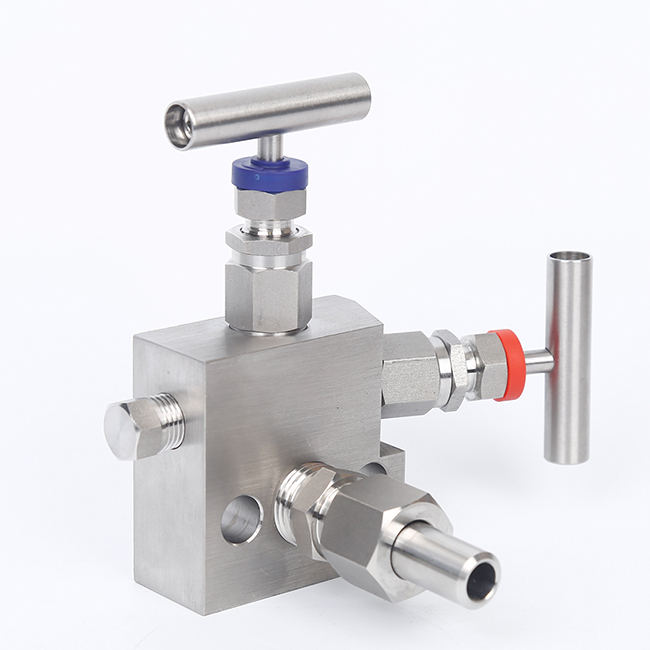 共面儀表二閥組